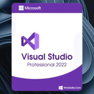 Clé Visual Studio Professional 2022