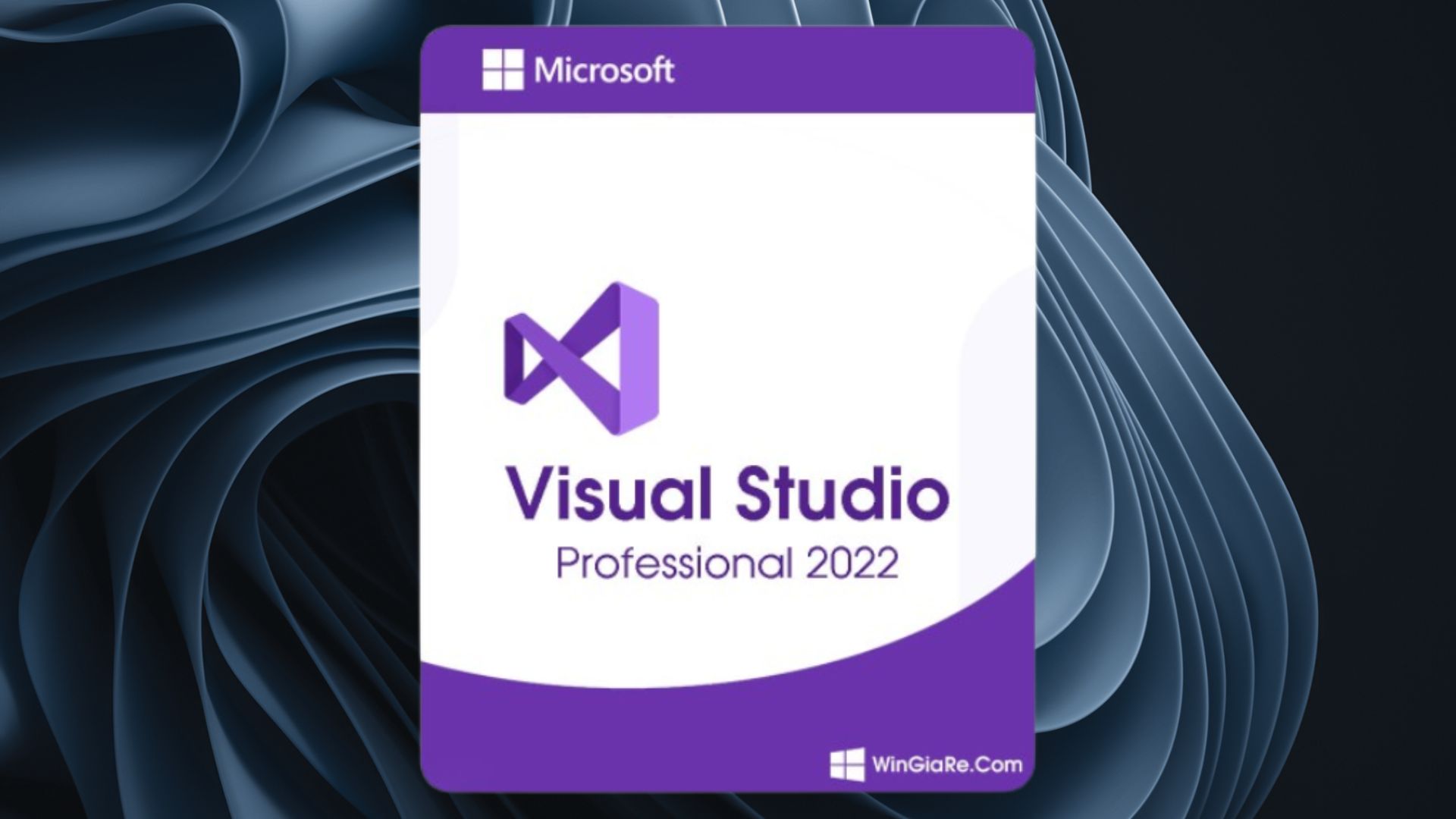 Clé Visual Studio Professional 2022