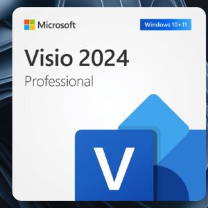 Clé Visio Professional 2024