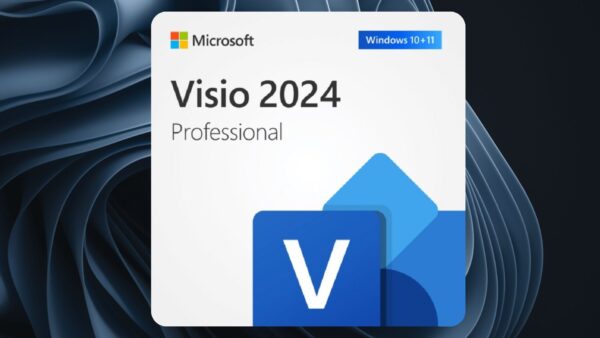 Clé Visio Professional 2024